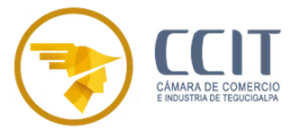 LOGO CCIT logo